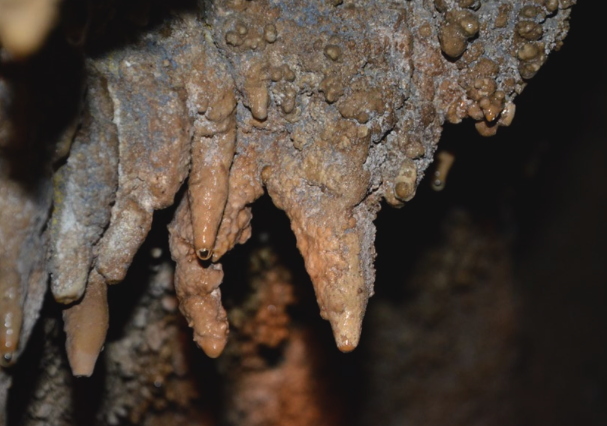 Personal Data Protection Law