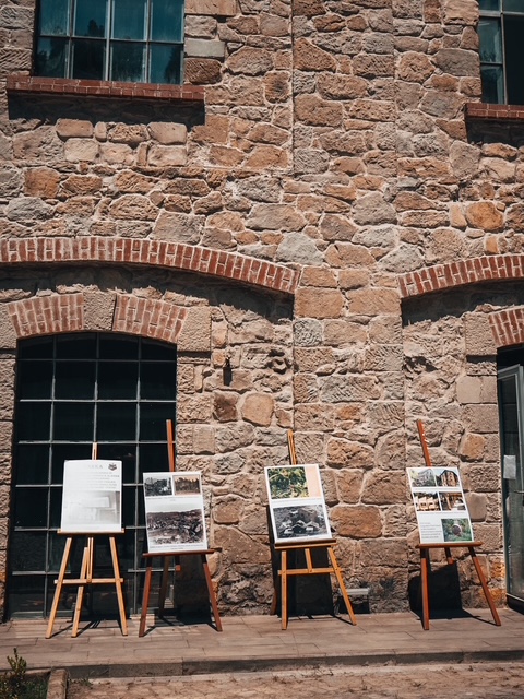 Zonguldak Endüstriyel Miras Festivali (VADİFEST), Üzülmez Kültür Vadisi’nde Yoğun Katılımla Gerçekleştirildi