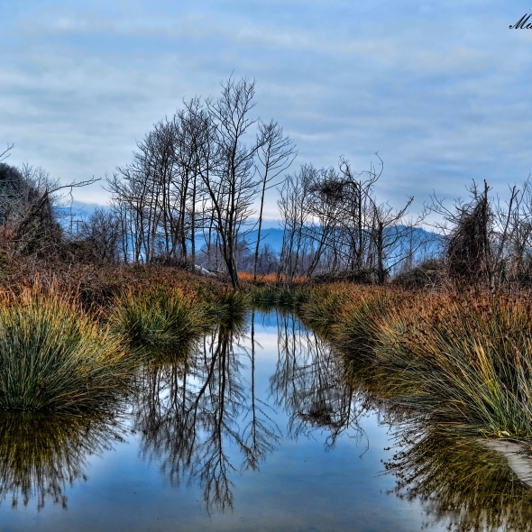 Zonguldak s Brand Value Will Be Increased