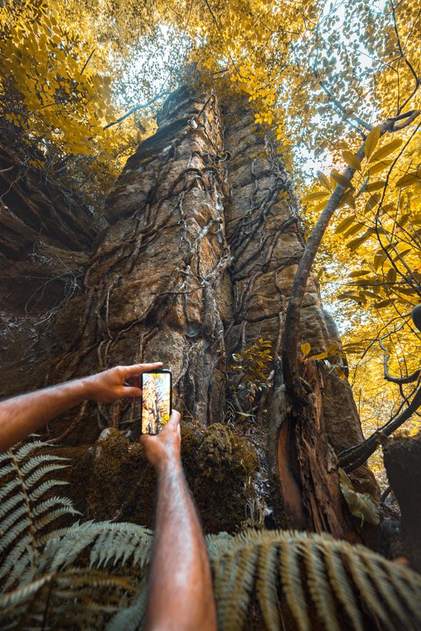 Legislation and Regulation